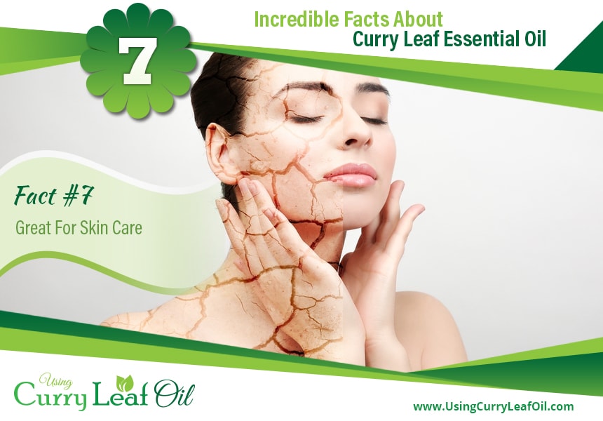  curry leaf essential oil uses