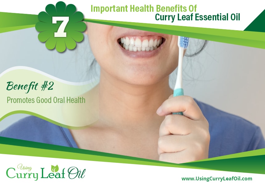 curry leaf essential oil